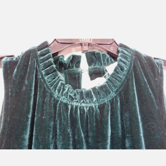 J. Crew Dark Green Velvet Midi Dress - Picture 9 of 9